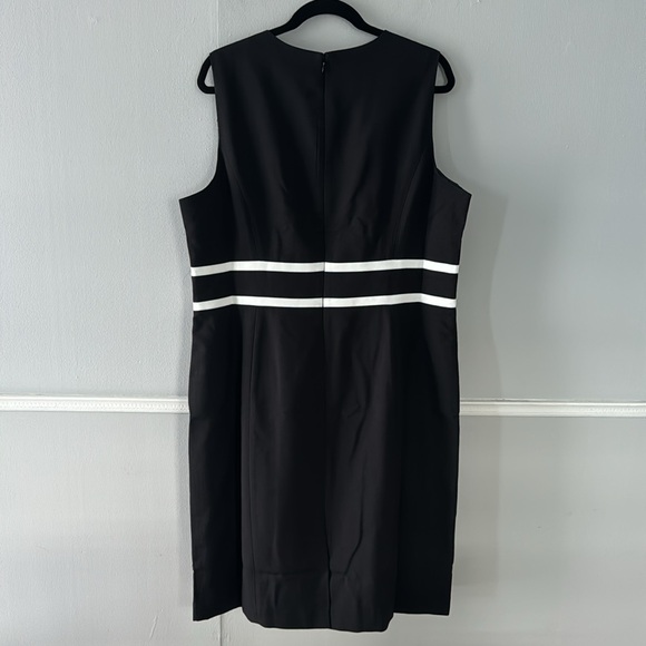 Black Label by Evan-Picone Lined Sleeveless Dress - Picture 3 of 6